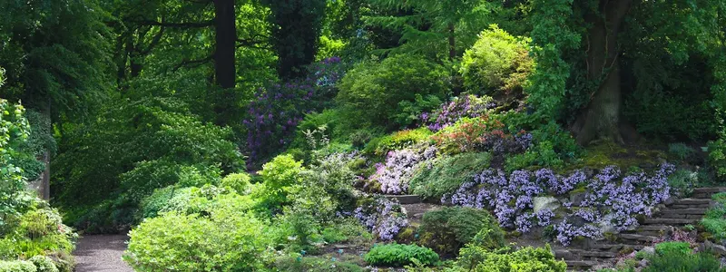 Botanische Tuinen Universiteit Utrecht