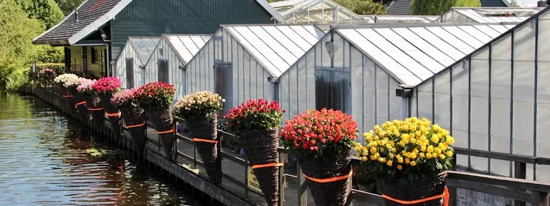 Stichting Historische Tuin Aalsmeer‎