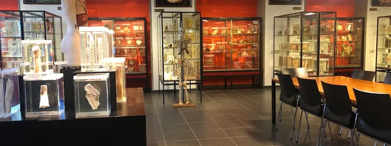 Museum voor Anatomie en Pathologie
