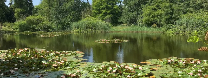 Nationaal Bomenmuseum Gimborn | Stichting Von Gimborn Arboretum