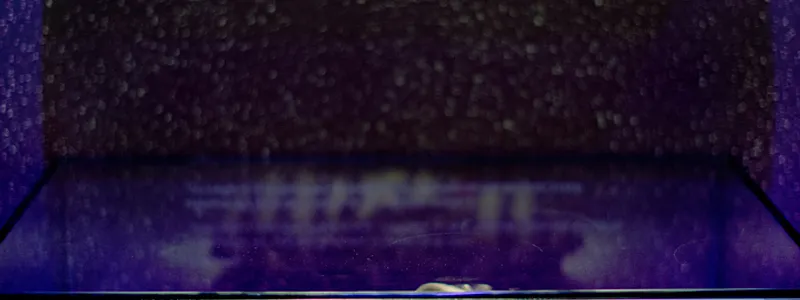 Nationaal Monument Kamp Vught