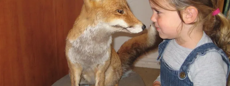 Pieter Vermeulen Museum