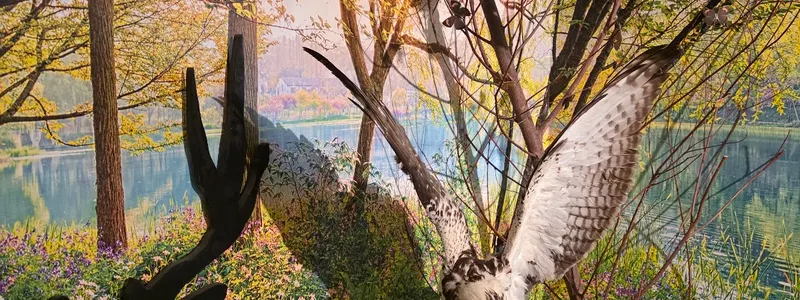 Schoonewelle Museum voor Natuur en Ambacht