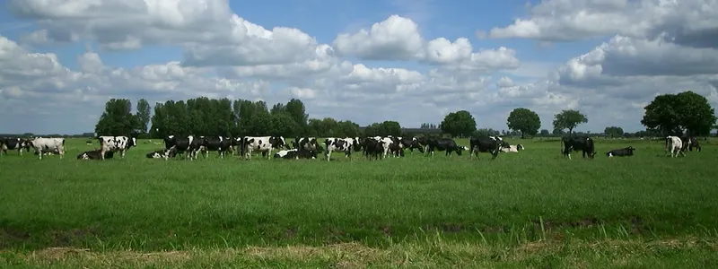 Museum De Koperen Knop