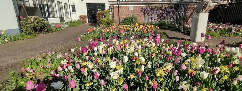 Nationaal Museum De Zwarte Tulp