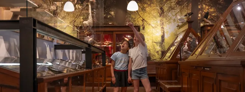 Museum Natura Docet