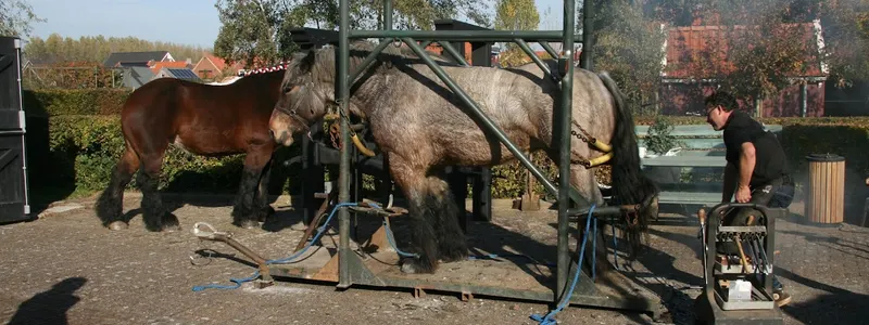 Streekmuseum de Meestoof