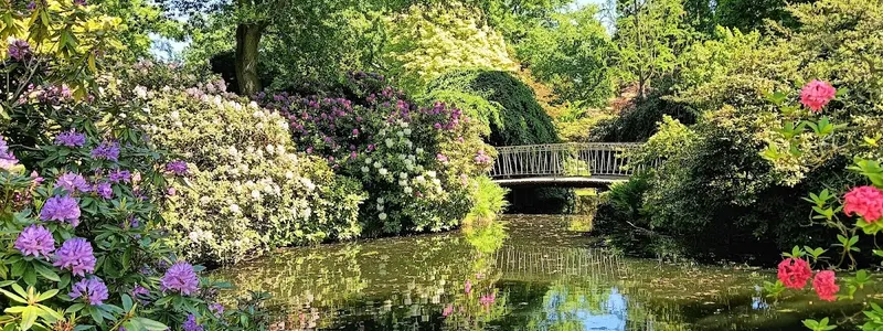 Trompenburg Tuinen & Arboretum