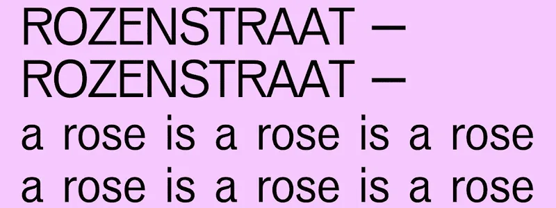 ROZENSTRAAT – a rose is a rose is a rose