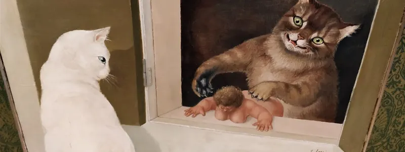 KattenKabinet
