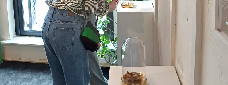 Miniatuur Museum Zwolle