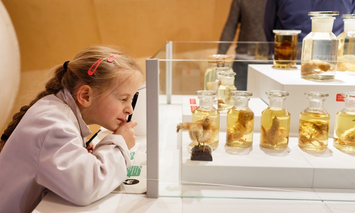 Museum Natura Docet