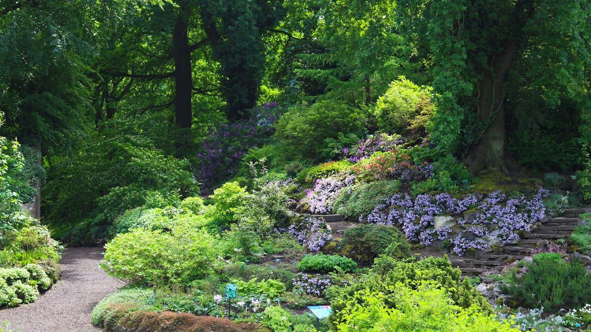 Botanische Tuinen Universiteit Utrecht