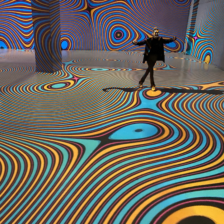 Motion Experience