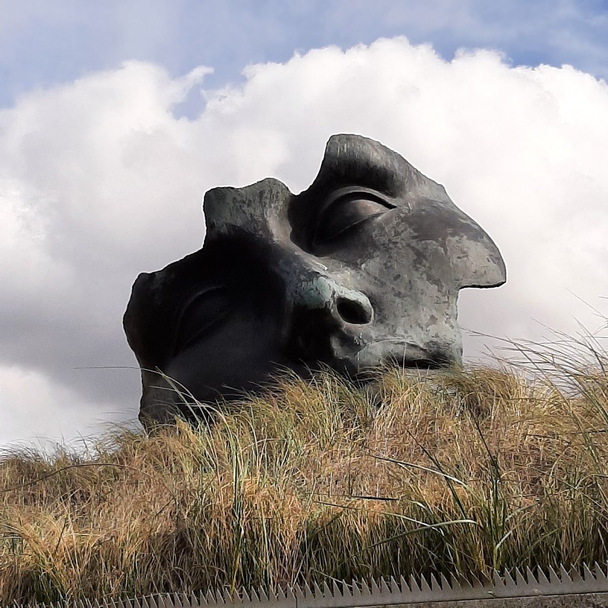 Museum Beelden aan Zee