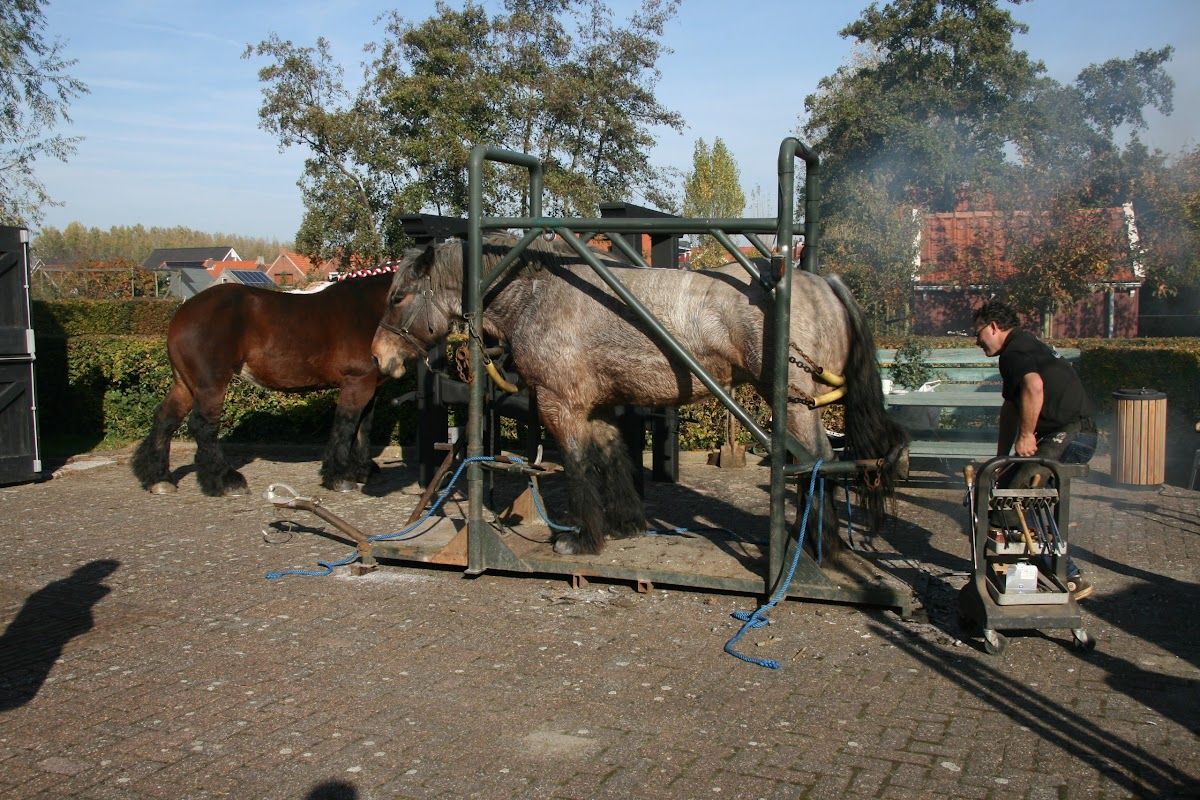 Streekmuseum De Meestoof | Ier bluuf je kieke!