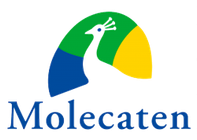 Molecaten Logo