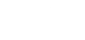 Burger 'n Shake Logo