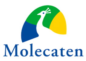 Molecaten Logo