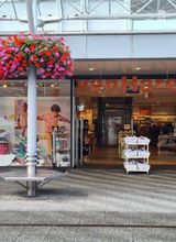 vanHaren Schoenen