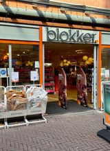 Blokker Pijnacker