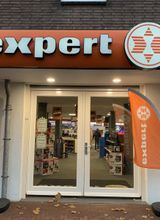 Expert Elst