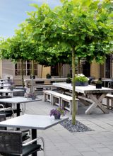 Fletcher Hotel-Restaurant Heiloo