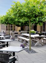 Fletcher Hotel-Restaurant Heiloo