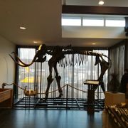 Museum TweeStromenland