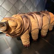 ARTIS - Micropia