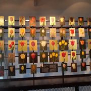 Museum De Zwarte Tulp