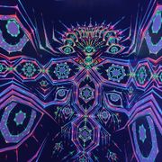 Motion Experience