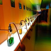 Bols Cocktail Experience