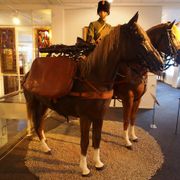 Cavaleriemuseum