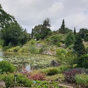 Botanische Tuinen Universiteit Utrecht