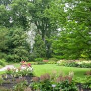 Trompenburg Tuinen & Arboretum