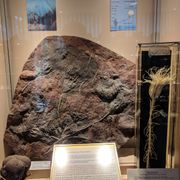 Geologisch Museum Hofland