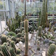Trompenburg Tuinen & Arboretum