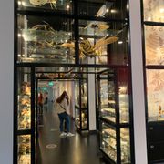 Stichting Natuurmuseum Brabant