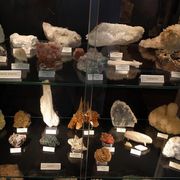 Geologisch Museum Hofland