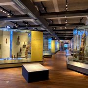 Wereldmuseum Junior
