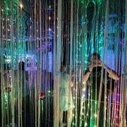 Motion Experience