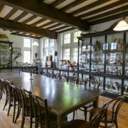 Natuurhistorisch Museum Maastricht
