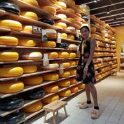 Gouda Cheese Experience