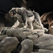 Stichting Natuurmuseum Brabant