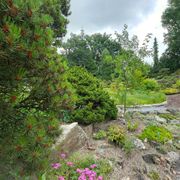 Botanische Tuinen Universiteit Utrecht