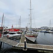 Ramtorenschip "Buffel"