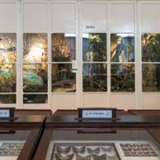 Stichting Natuurhistorisch en Volkenkundig Museum in Oudenbosch