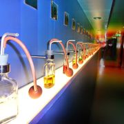 Bols Cocktail Experience