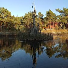 Vakantiepark Efteling Bosrijk